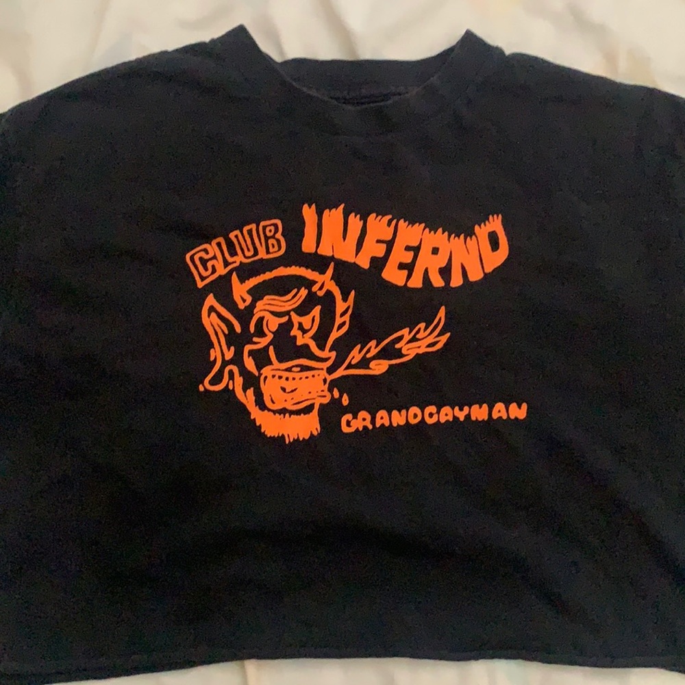 Brandy Melville graphic crop top